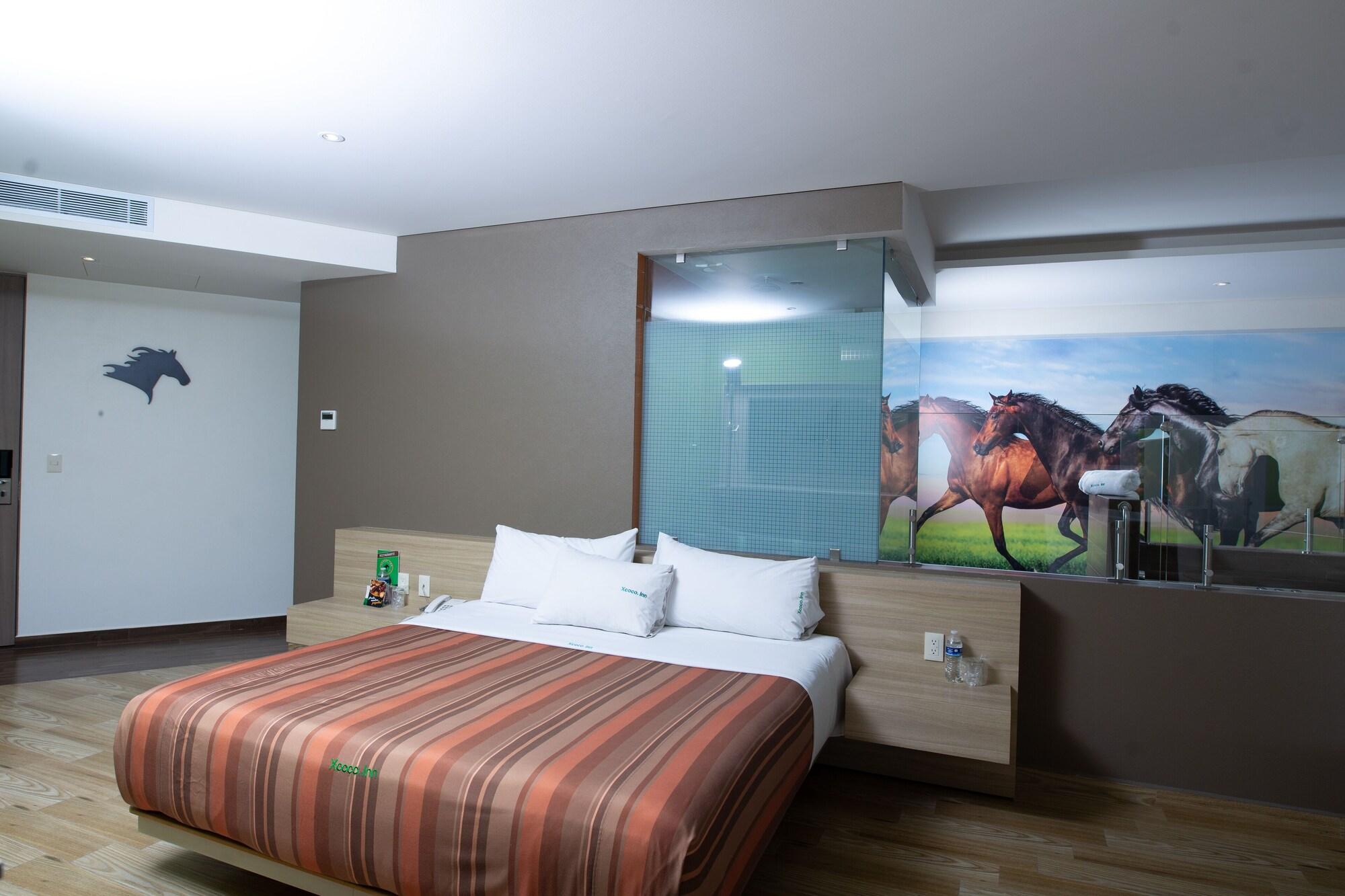 Hotel Xcoco Inn Texcoco de Mora ภายนอก รูปภาพ